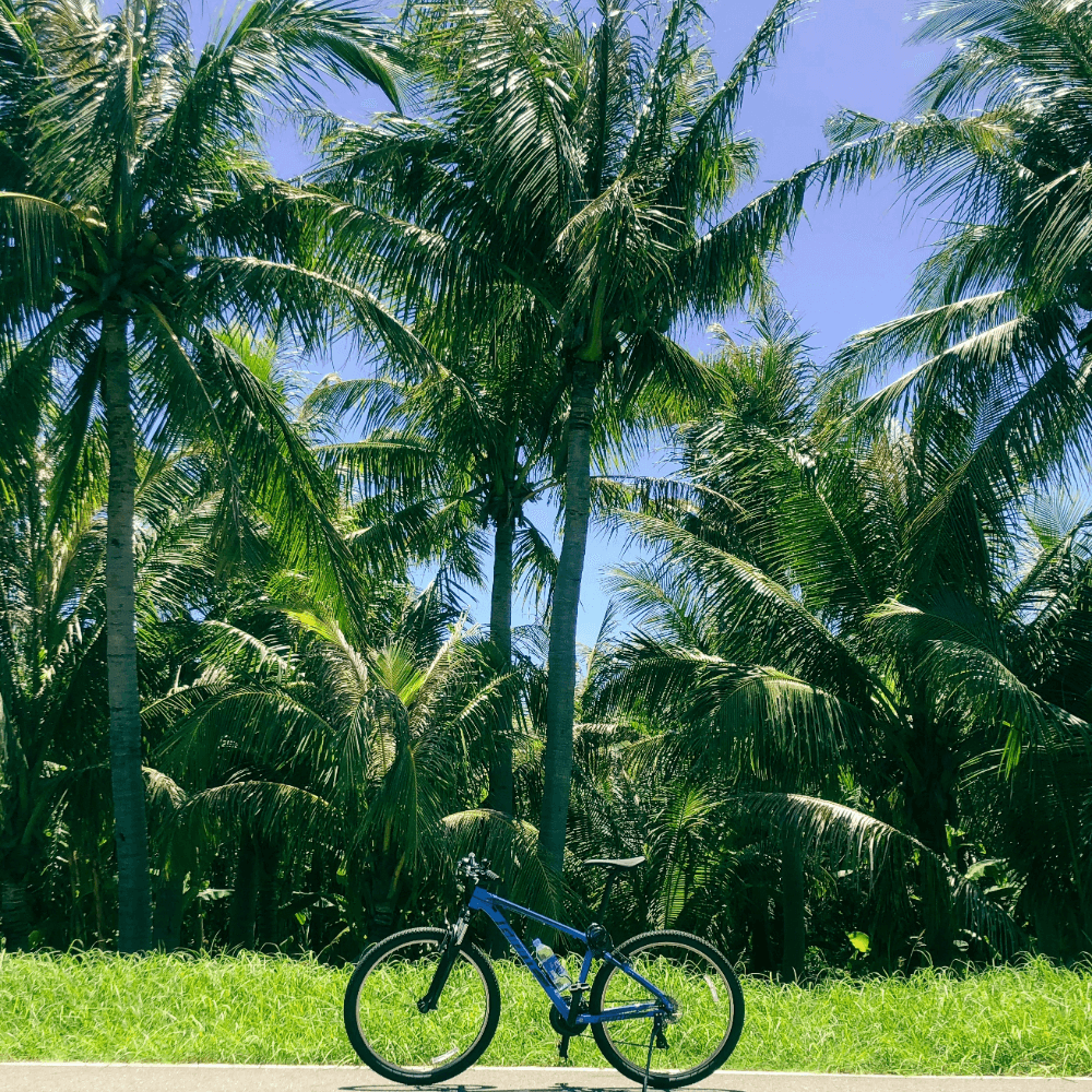 velo electrique eco-tourisme retraite yoga