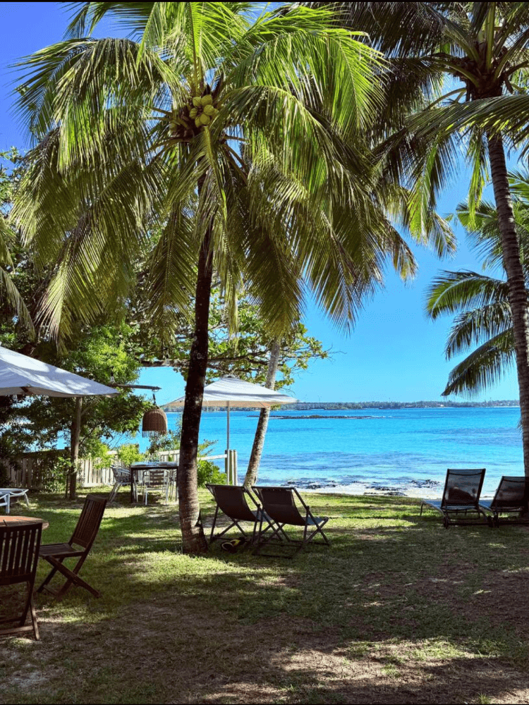 jardin tropical retraite yoga maurice